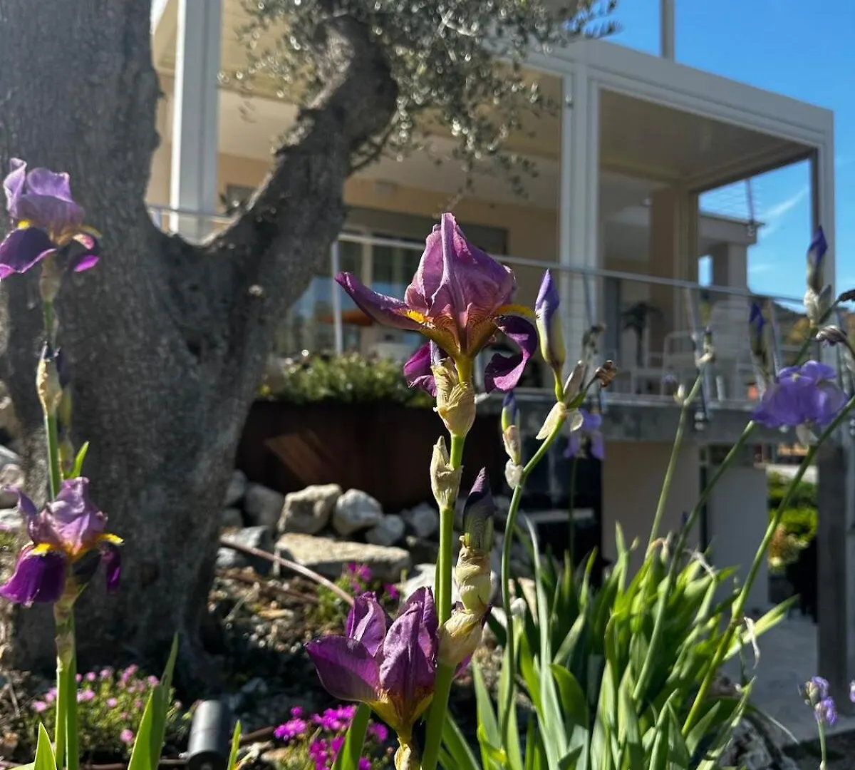 Villa - L'Eco Di Rio Rio Marina